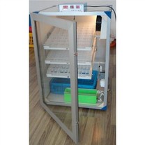 Incubateur d'armoire à œufs de poulet