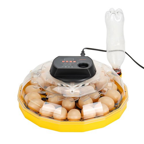 Incubateur d'œufs automatique, nouveauté 2024, 26-68, poussin, canard, oie, caille, pigeon, œufs d'oiseaux